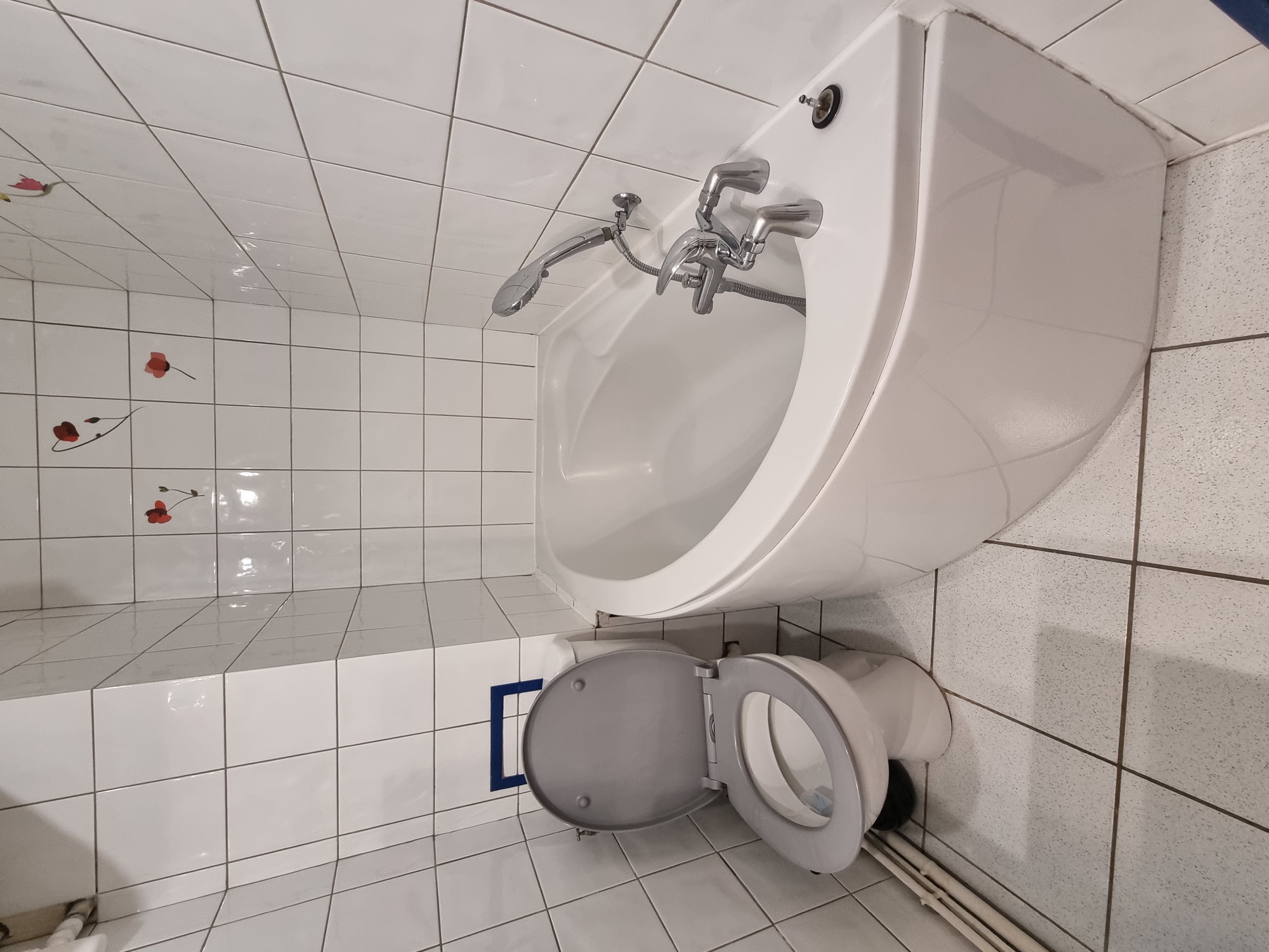 Baignoire et toilettes dans la salle de bain